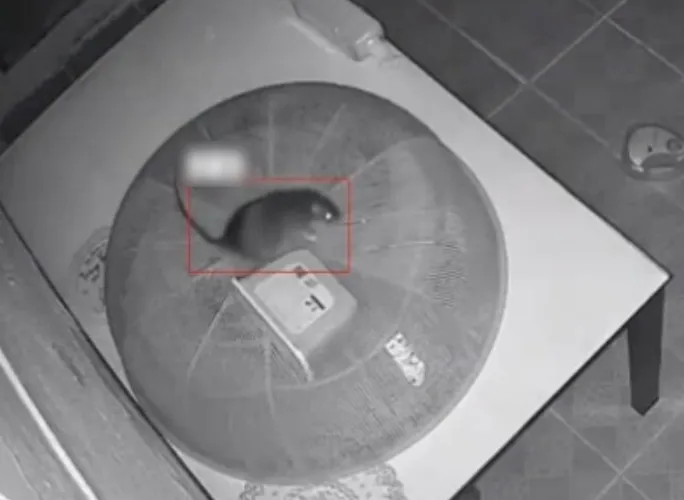 AI-in-a-Box: Integrated Intelligence System